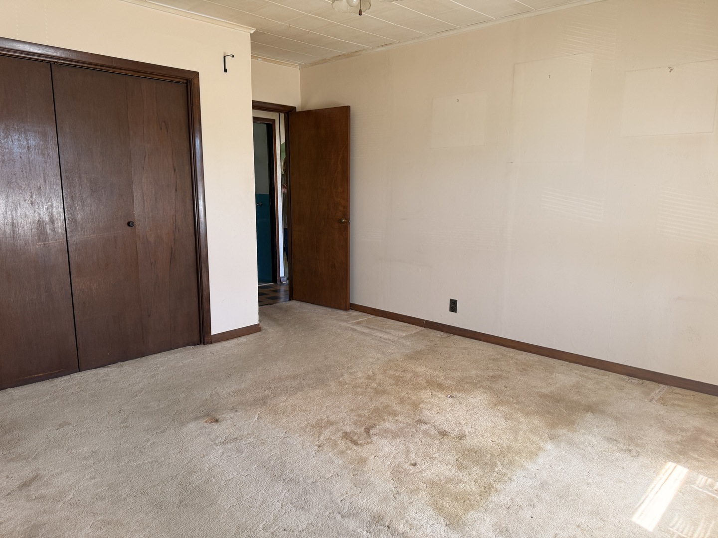 811 1st Street Colona, IL 61241 - Photo 35 of 48