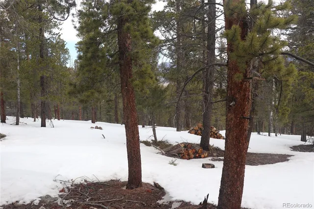 a view of a snow in the yard