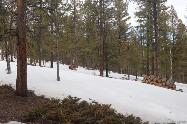 a street view covered with snow