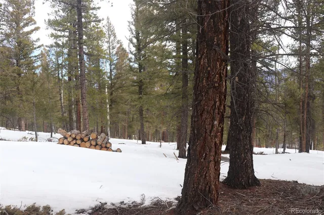 a view of snow on the road