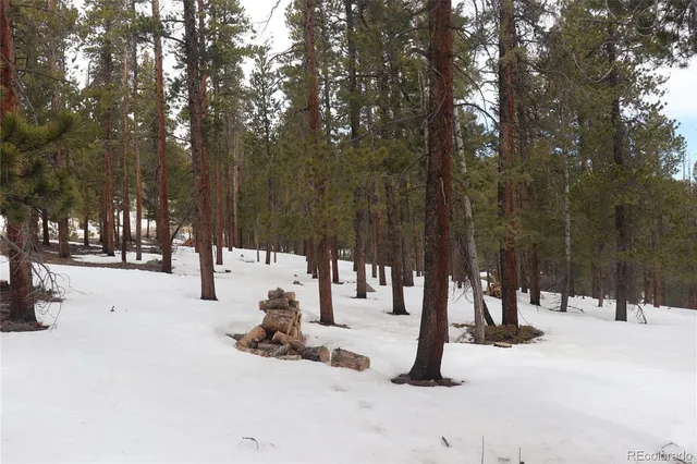 a view of park with trees