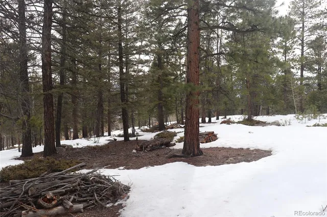 a view of snow on the road