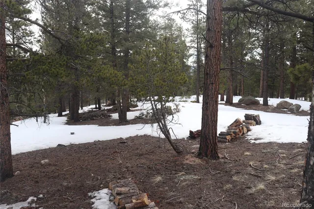a view of a yard covered in snow