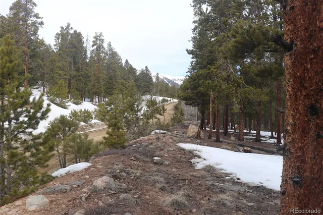 a view of outdoor space yard and tree