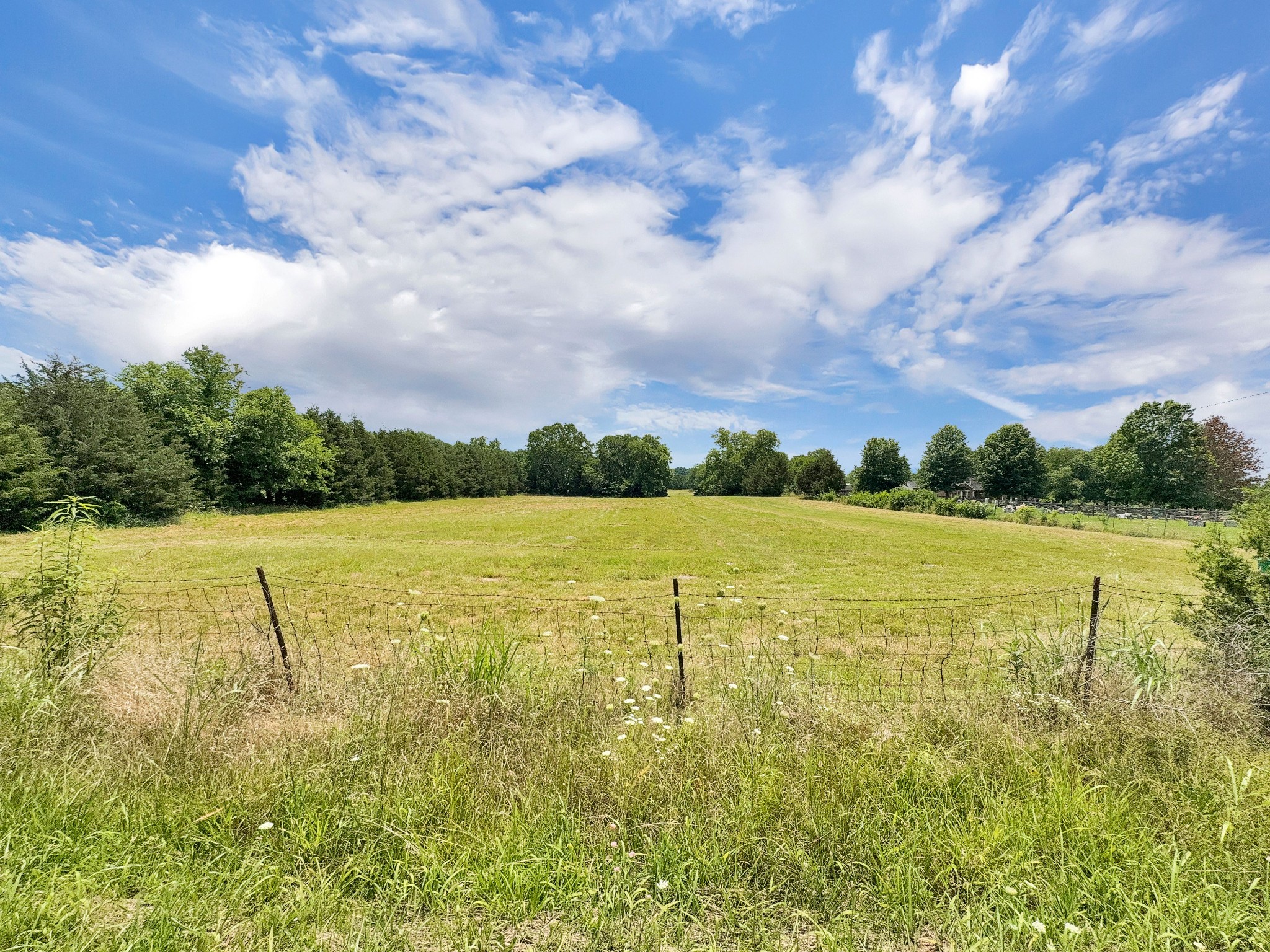 3510 Vesta Road Lebanon, TN 37090 - Photo 22 of 43 a view of a lake with a big yard