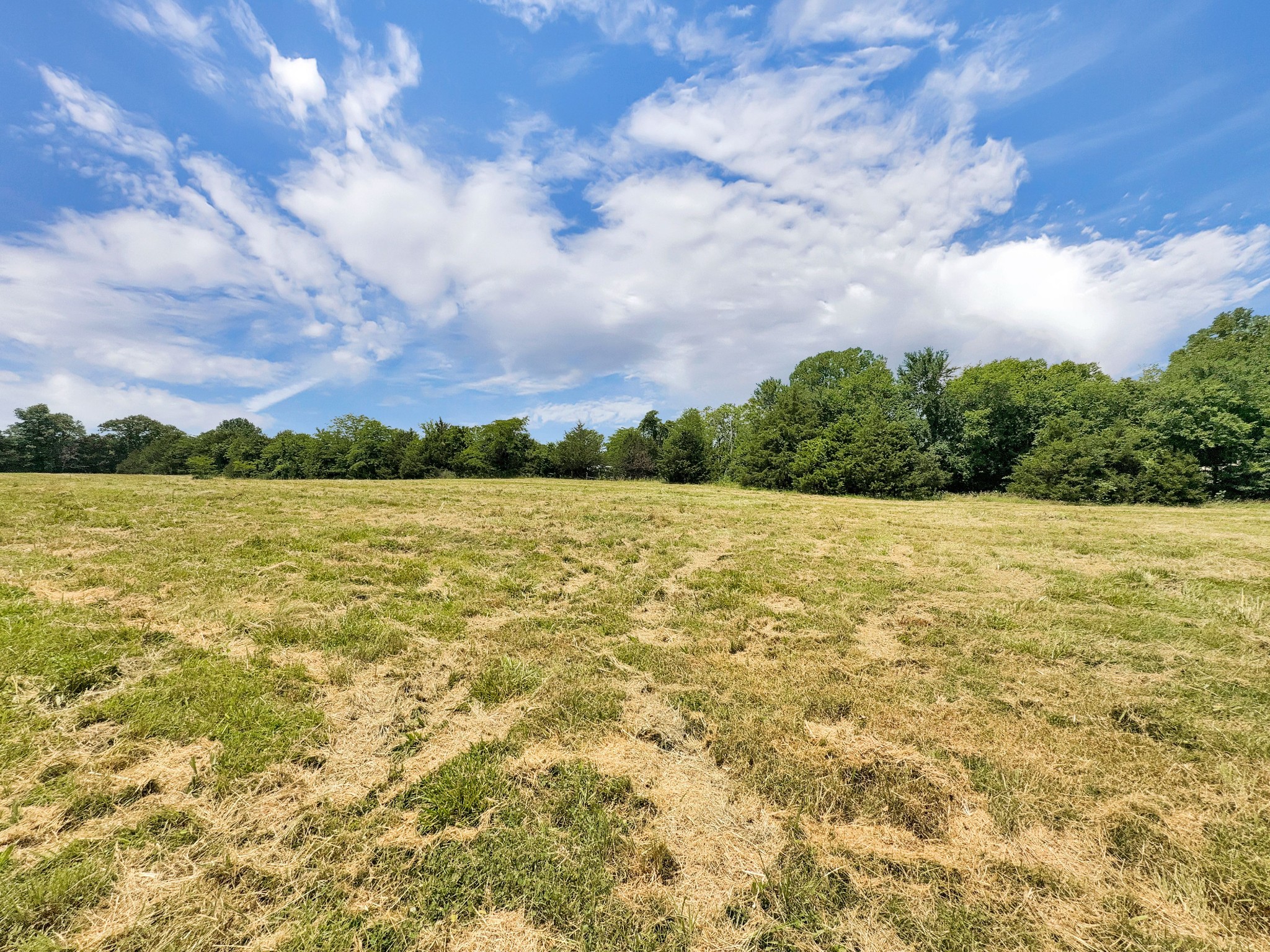 3510 Vesta Road Lebanon, TN 37090 - Photo 23 of 43 a view of a lake with houses in the back
