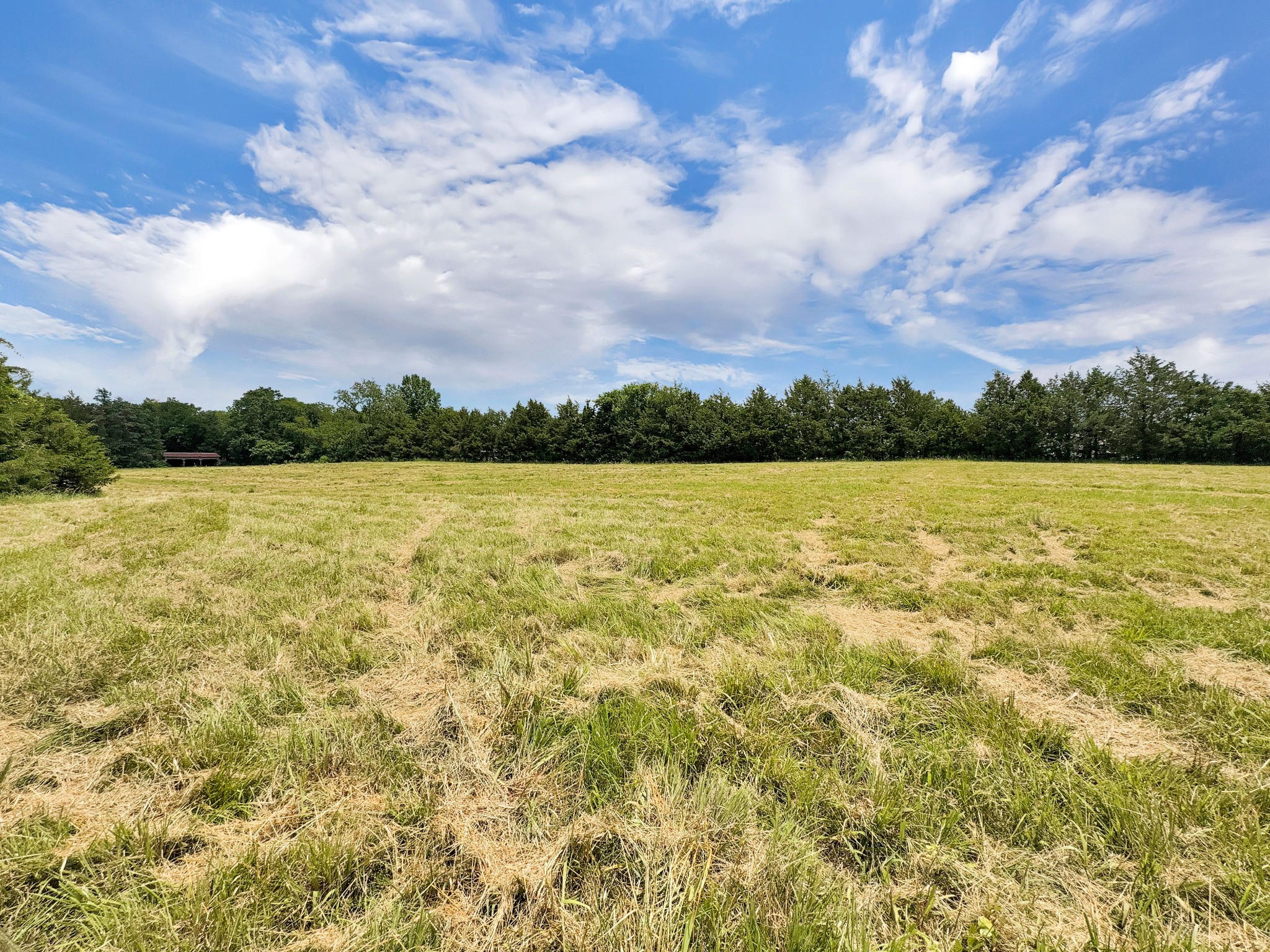 3510 Vesta Road Lebanon, TN 37090 - Photo 26 of 43 a view of yard and ocean view