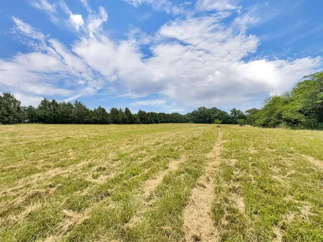 a view of an ocean from a yard