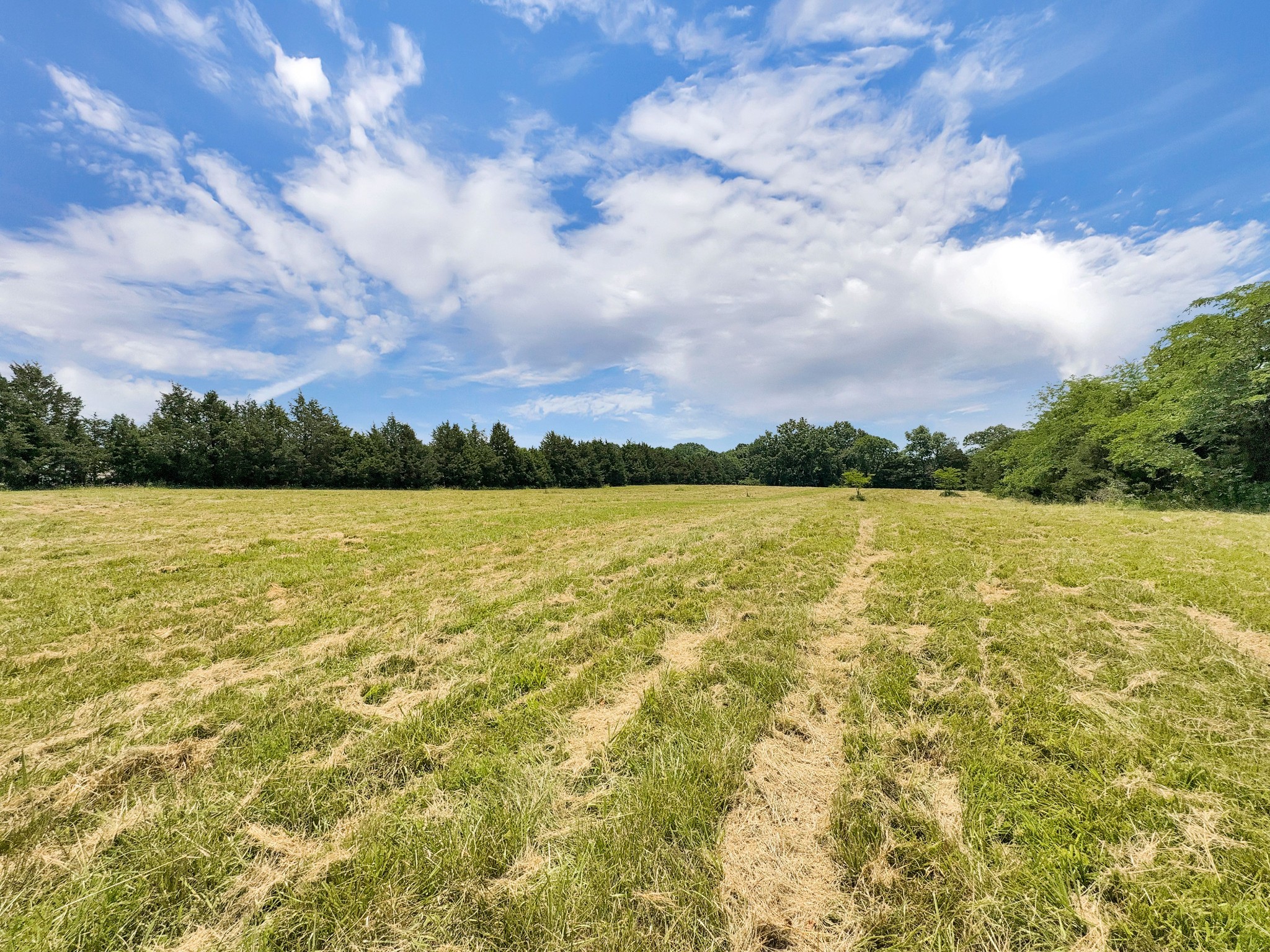 3510 Vesta Road Lebanon, TN 37090 - Photo 29 of 43 a view of a lake with houses in the back