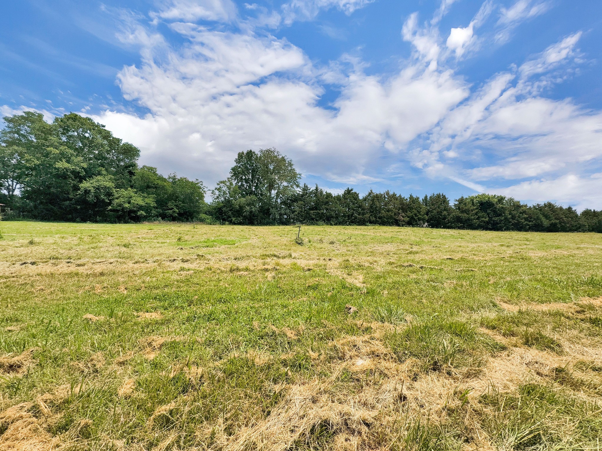 3510 Vesta Road Lebanon, TN 37090 - Photo 30 of 43 a view of yard with lake and houses