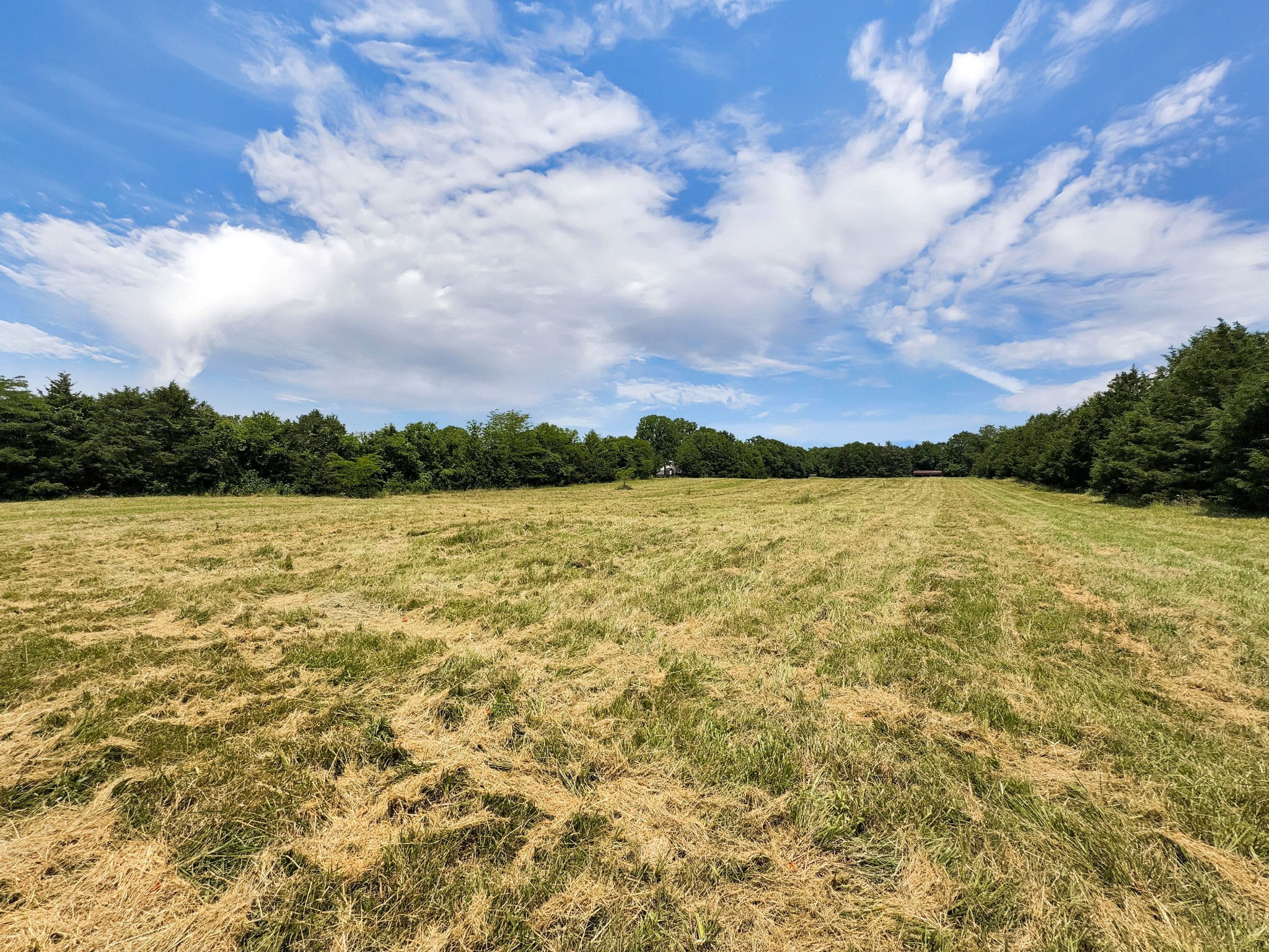 3510 Vesta Road Lebanon, TN 37090 - Photo 39 of 43 a view of a lake with houses in the back