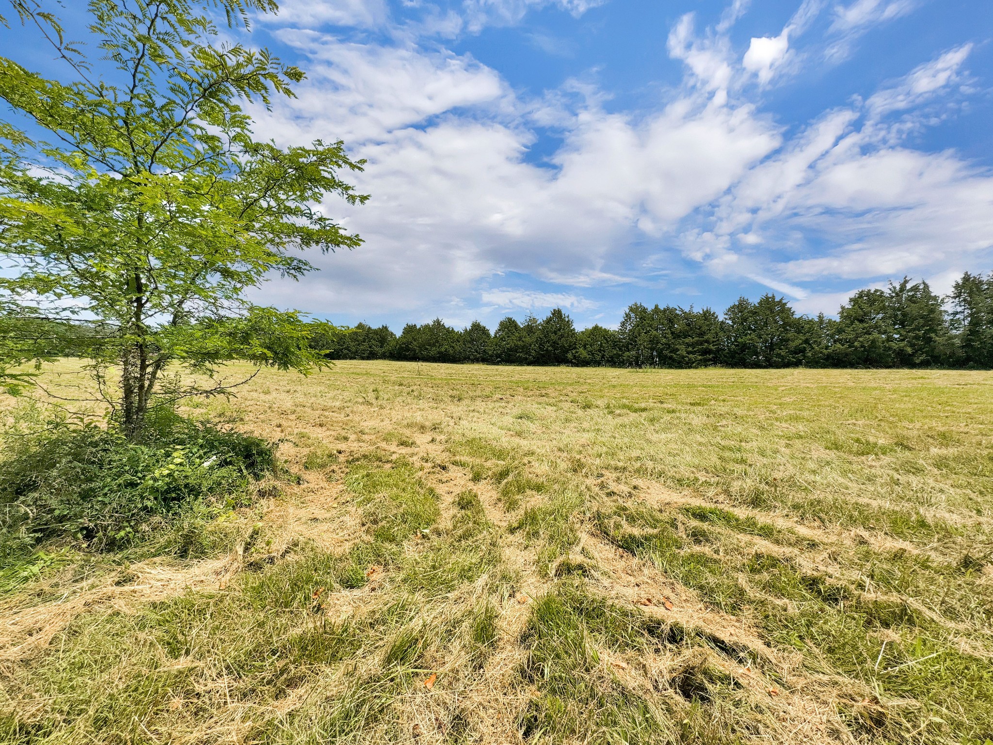 3510 Vesta Road Lebanon, TN 37090 - Photo 40 of 43 a view of yard with wooden fence