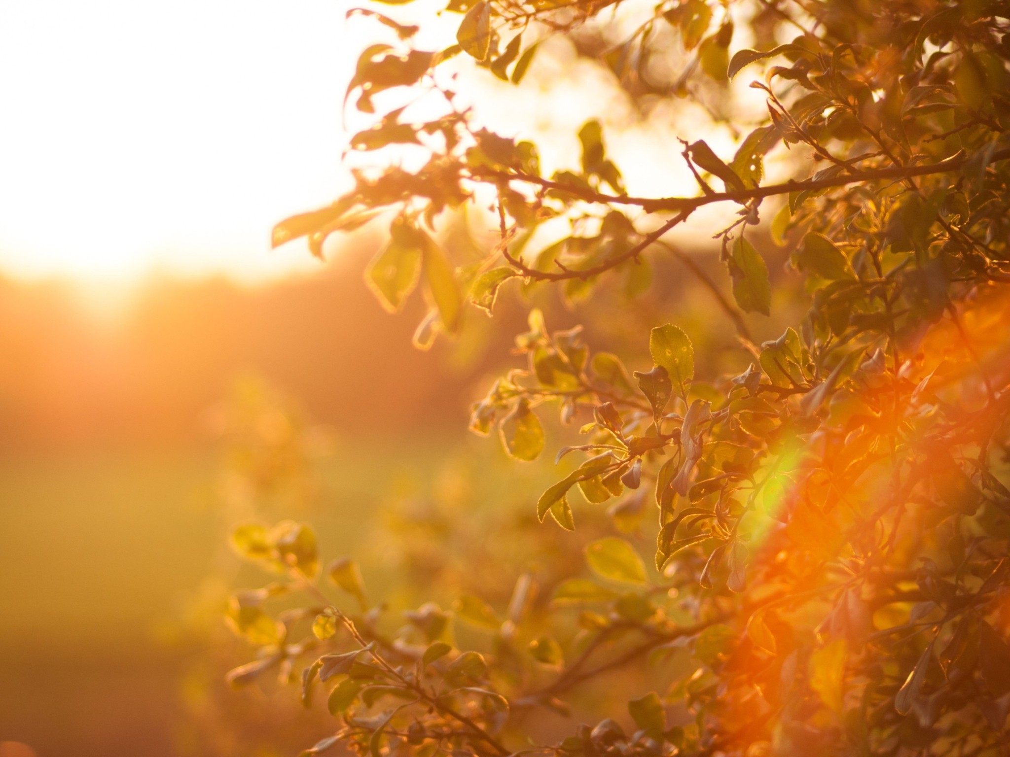 3510 Vesta Road Lebanon, TN 37090 - Photo 8 of 43