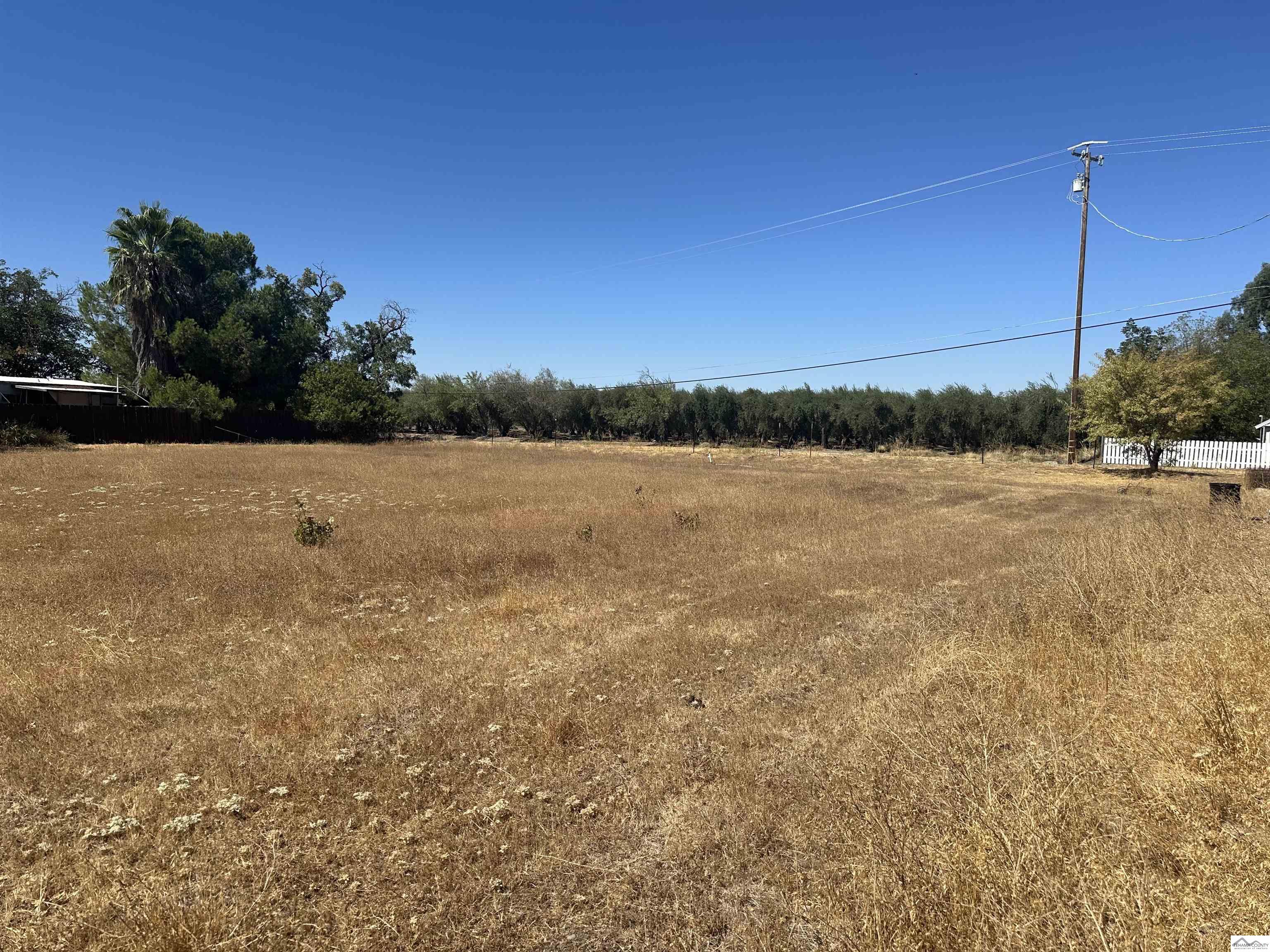 0 County Rd 14 Orland, CA 95963 - Photo 6 of 7