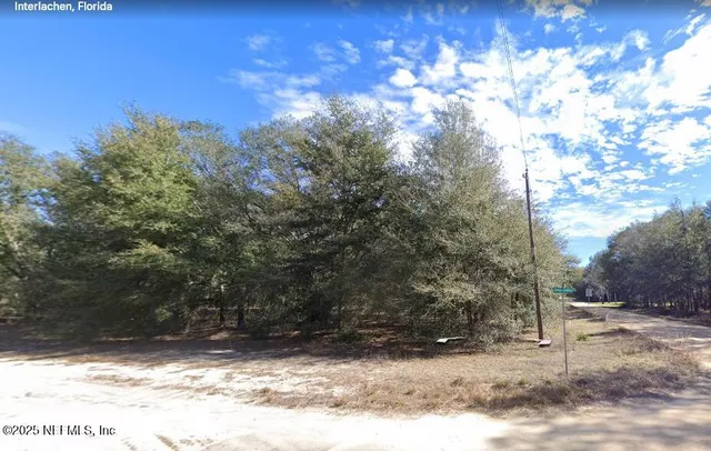 a view of a yard with a tree