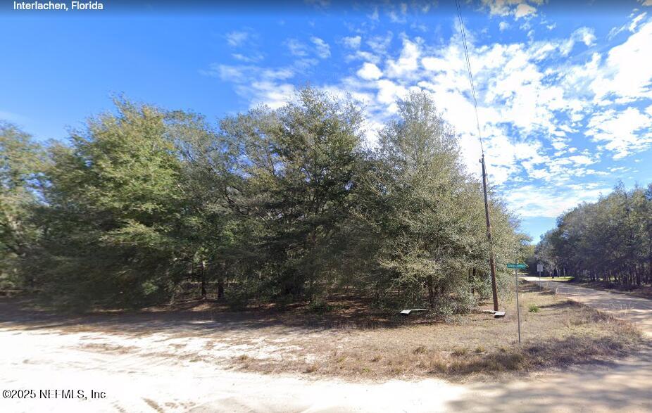 a view of a yard with a tree
