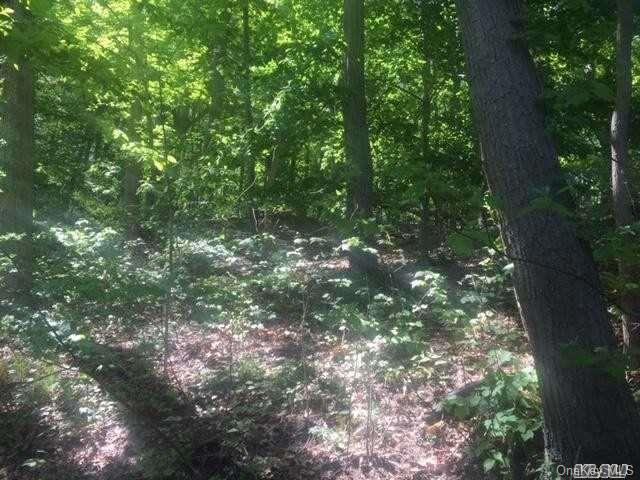 Spring Hollow Road St. James, NY 11780 - Photo 1 of 1 Gallery Image 1