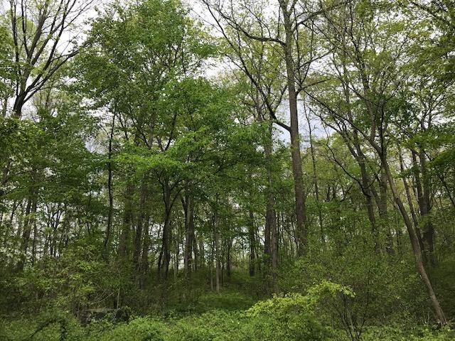 Lot 15 W Howe, IN 46746 - Photo 4 of 8