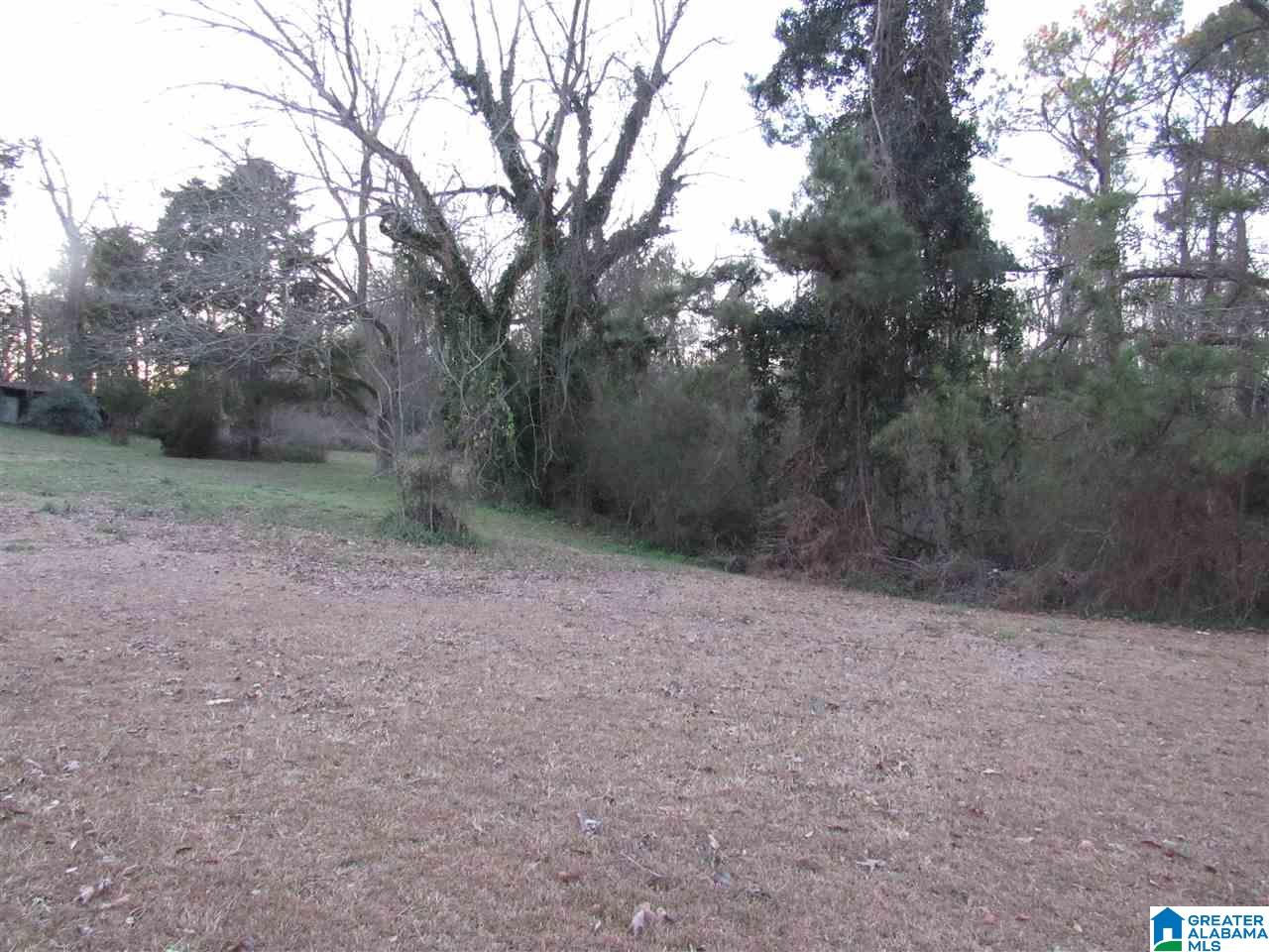 286 County Road 41 Clanton, AL 35046 - Photo 11 of 22