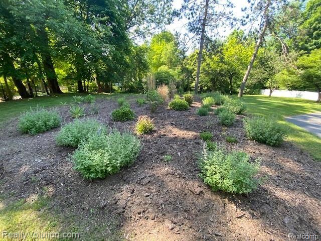 6080 Blue Beech Court Rochester Hills, MI 48306 - Photo 46 of 55