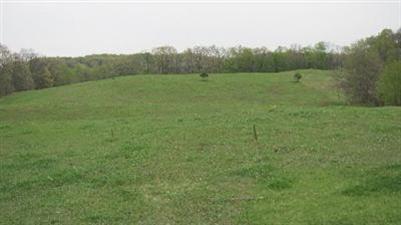 10280 Dutch Settlement Road Marcellus, MI 49067 - Photo 11 of 12 Additional Photo