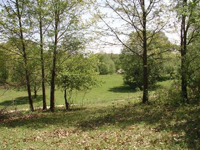 10280 Dutch Settlement Road Marcellus, MI 49067 - Photo 3 of 12 Additional Photo