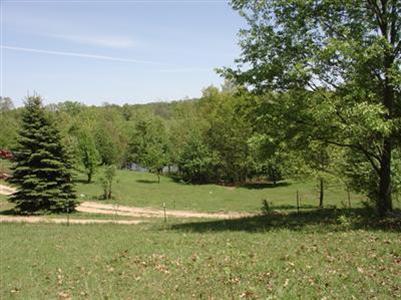 10280 Dutch Settlement Road Marcellus, MI 49067 - Photo 4 of 12 Additional Photo