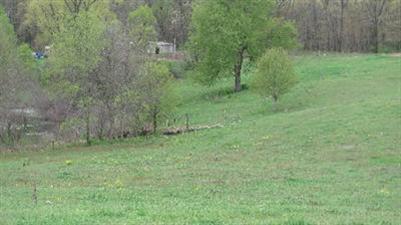 10280 Dutch Settlement Road Marcellus, MI 49067 - Photo 10 of 12 Additional Photo