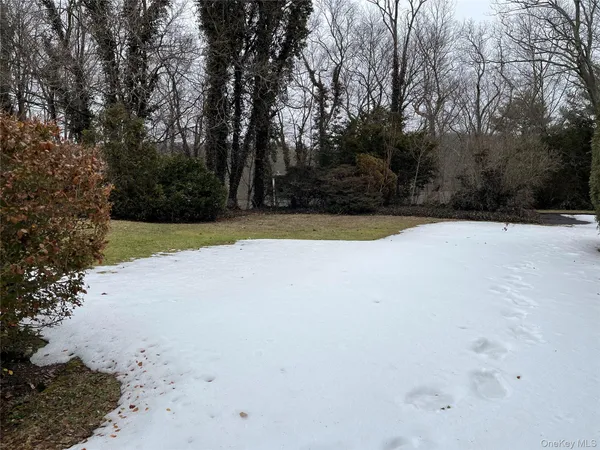 a view of empty space with trees