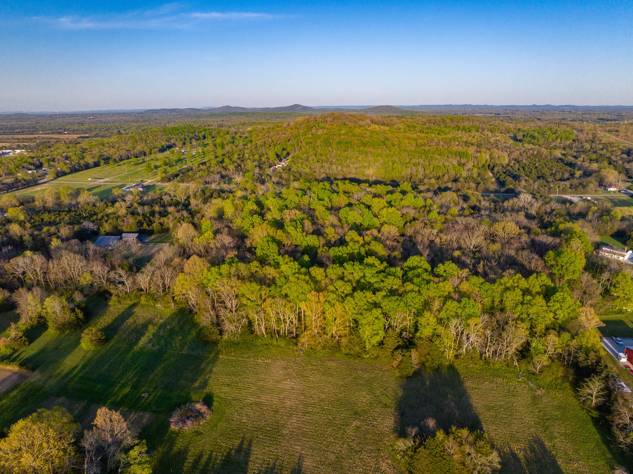 0 Floyd Road Eagleville, TN 37060 - Photo 4 of 11 Gallery Image 4