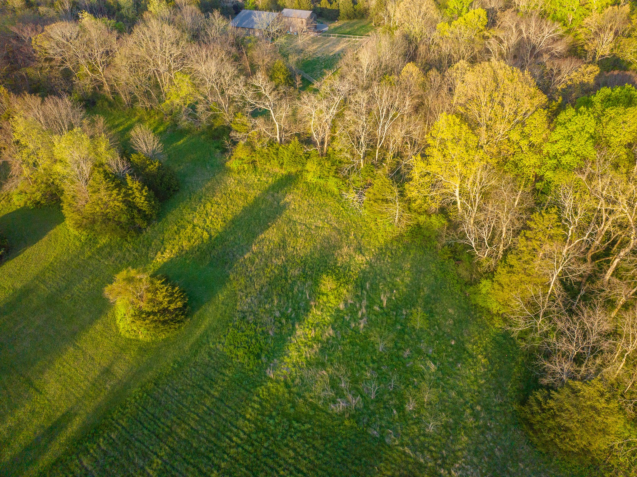 0 Floyd Road Eagleville, TN 37060 - Photo 5 of 11 Gallery Image 5