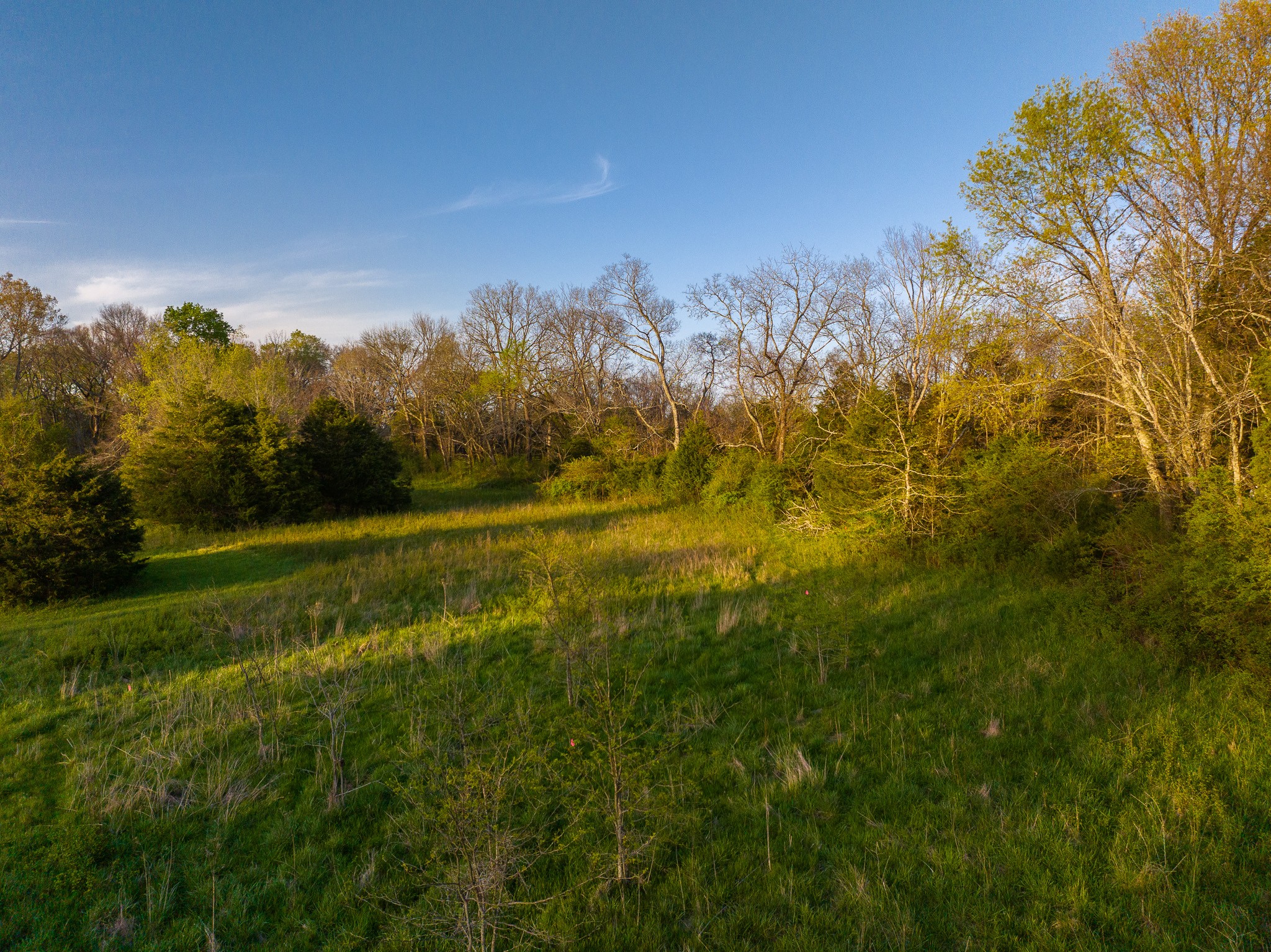 0 Floyd Road Eagleville, TN 37060 - Photo 6 of 11 Gallery Image 6