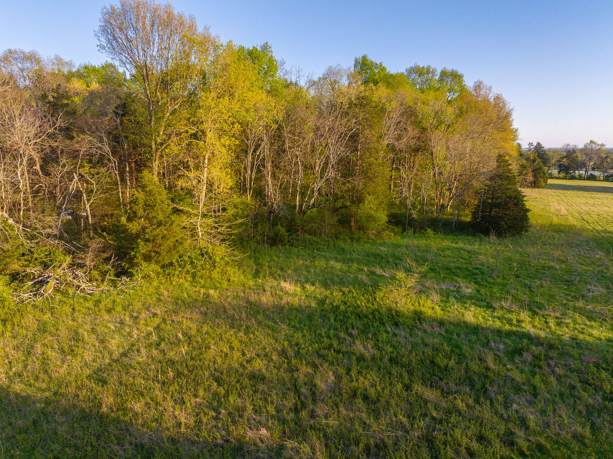 0 Floyd Road Eagleville, TN 37060 - Photo 7 of 11 Gallery Image 7