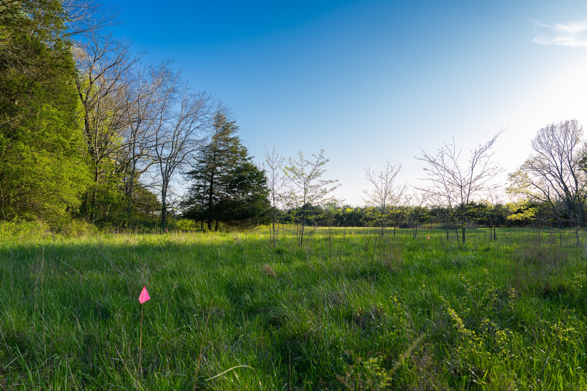 0 Floyd Road Eagleville, TN 37060 - Photo 8 of 11 Gallery Image 8