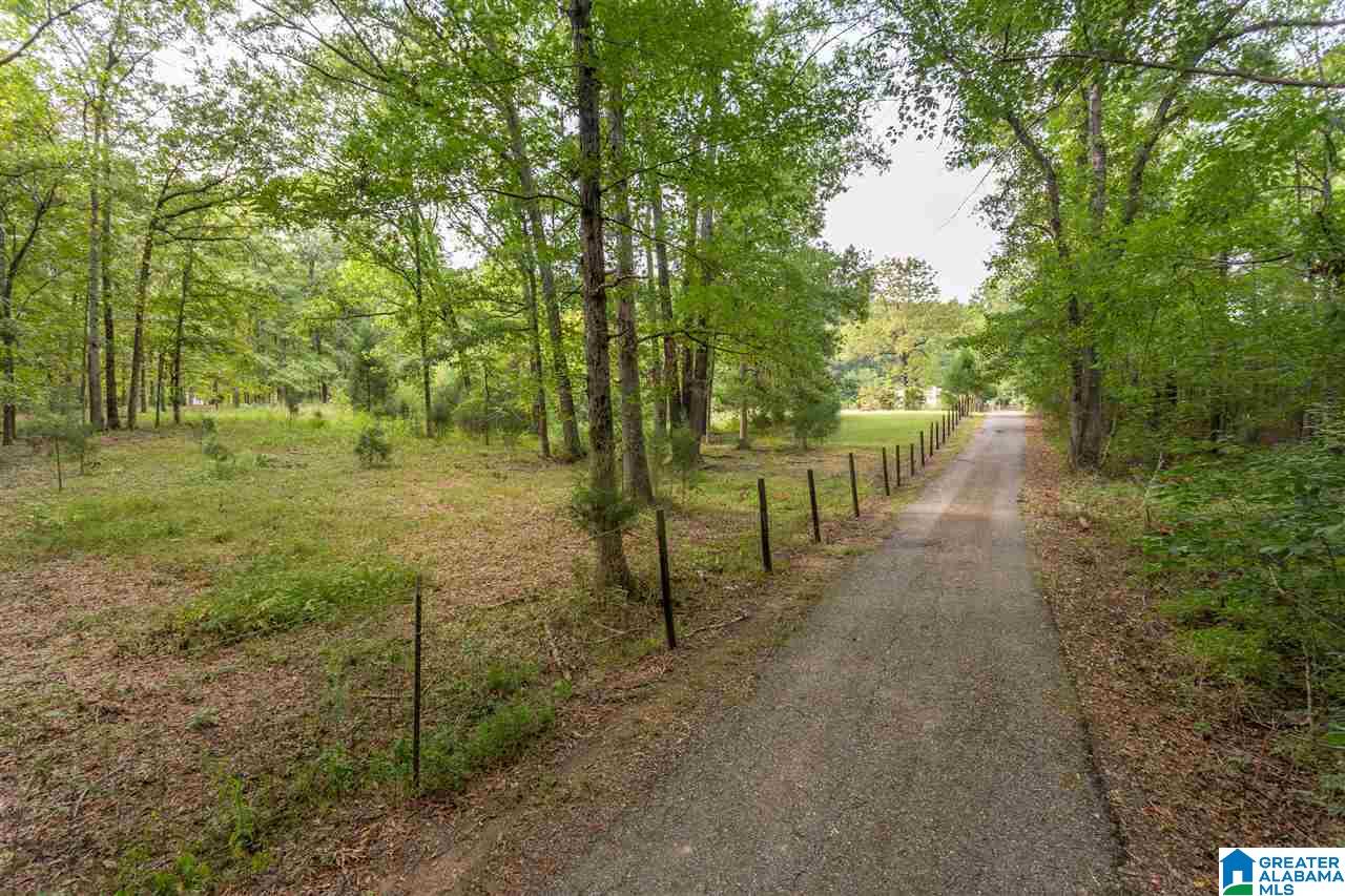 975 Refuge Road Ragland, AL 35131 - Photo 41 of 42