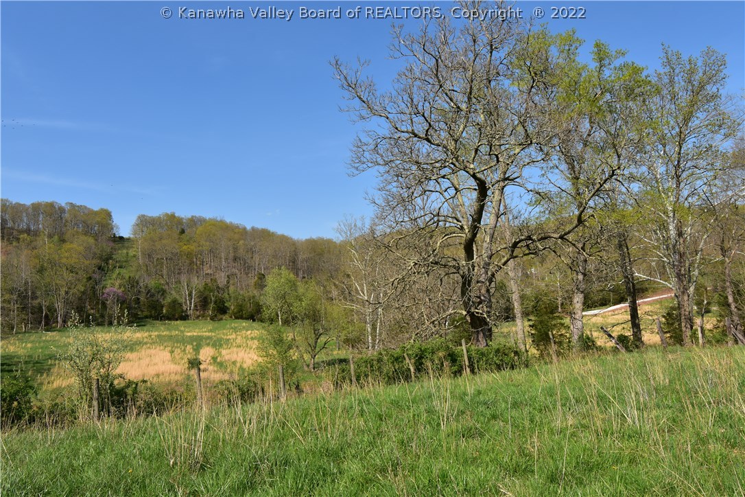 0 Ripley Road Cottageville, WV 25239 - Photo 11 of 26 Gallery Image 11