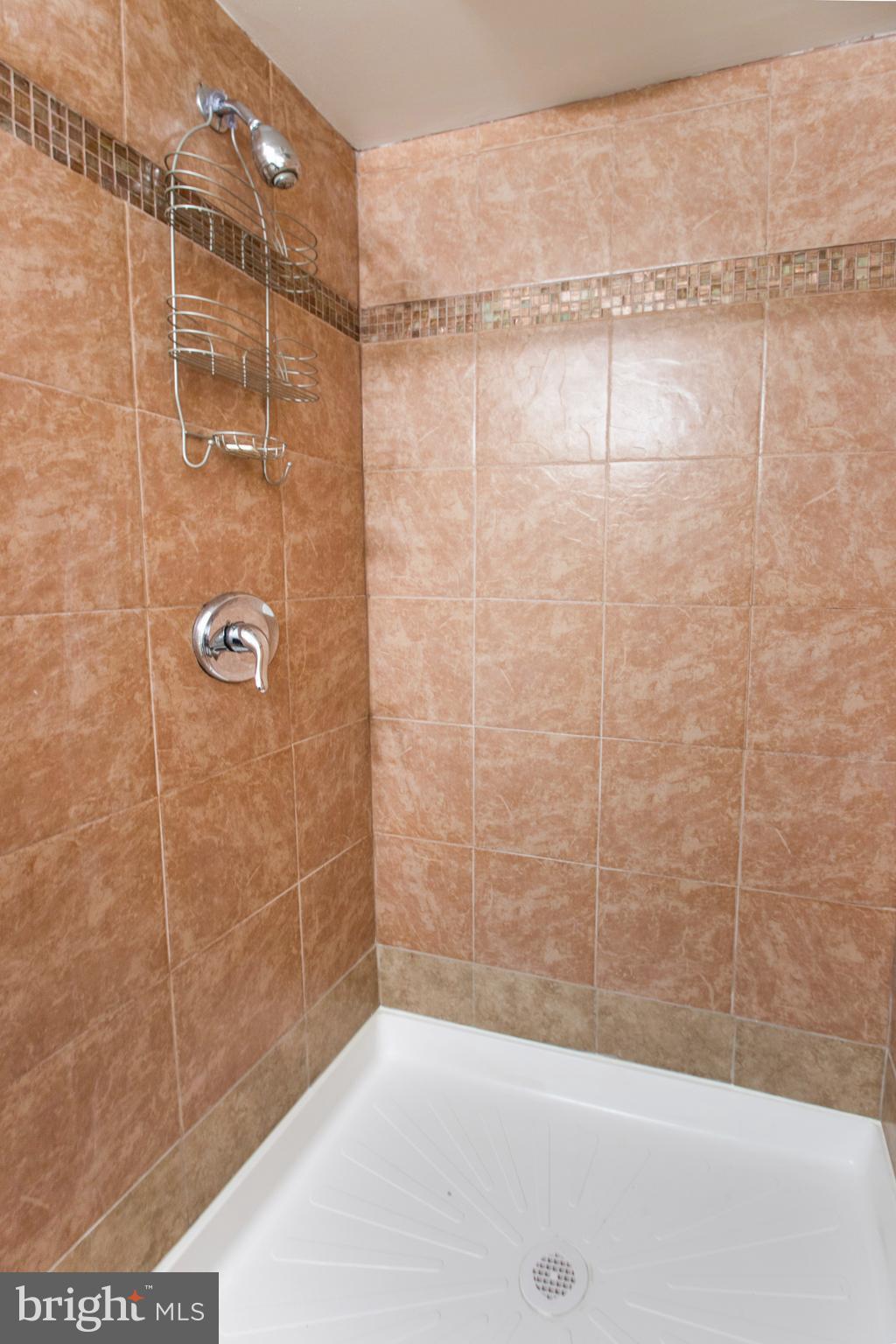 8253 Vosges Road Baltimore, MD 21208 - Photo 60 of 67 Lower Level Shower In Tub