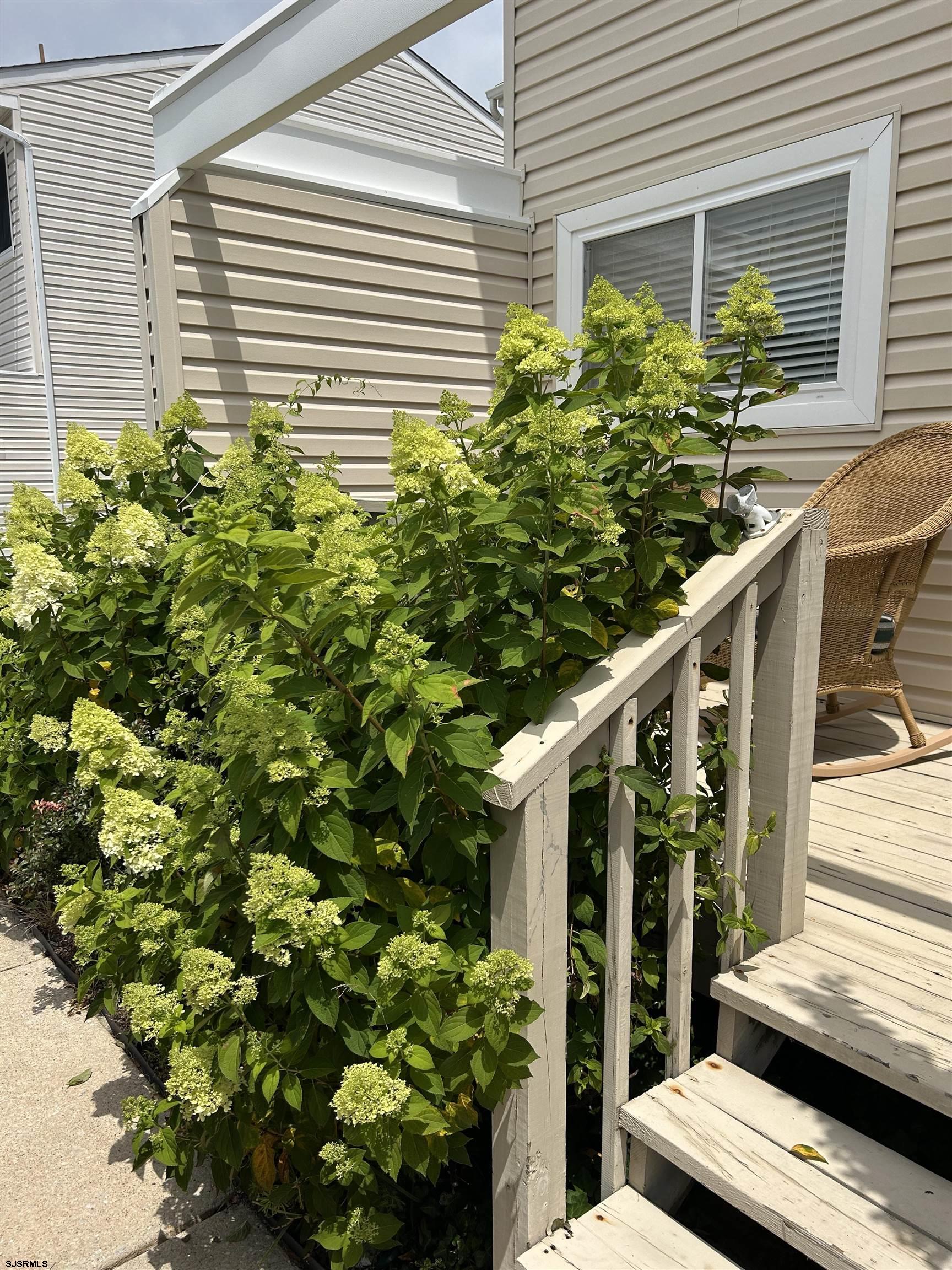 124 44th Street South, Unit B Brigantine, NJ 08203 - Photo 2 of 13 a yellow house with outdoor space