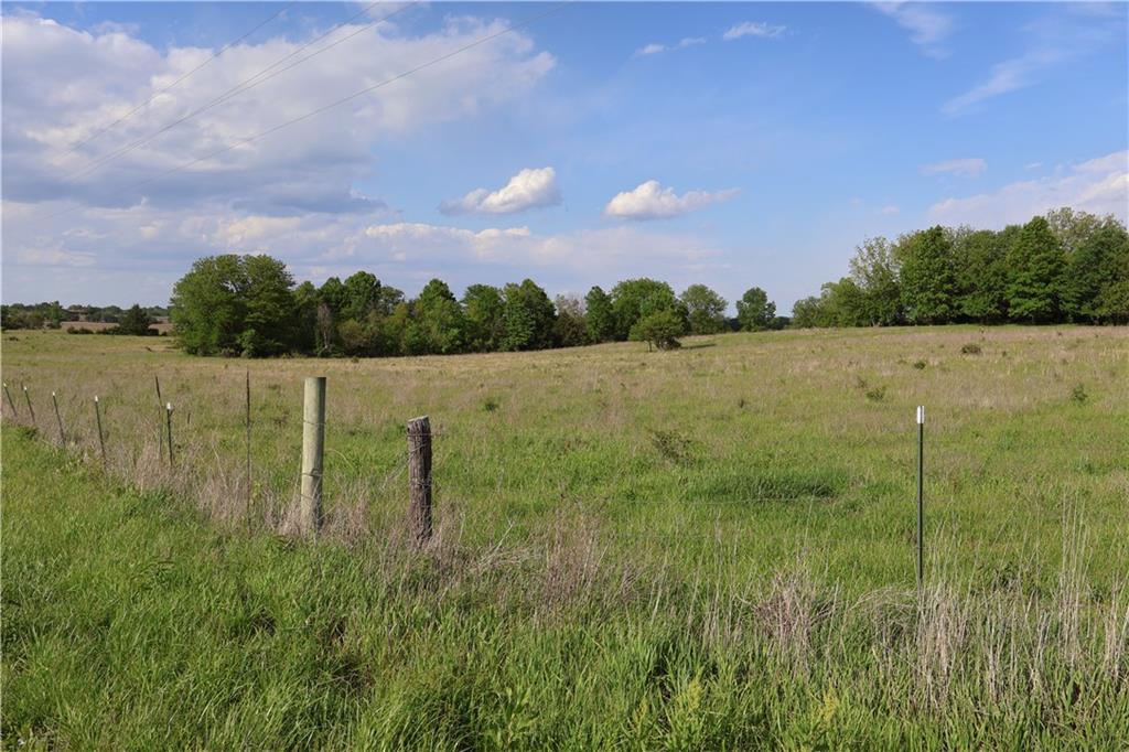 281 Southwest 200th Road Centerview, MO 64019 - Photo 29 of 30