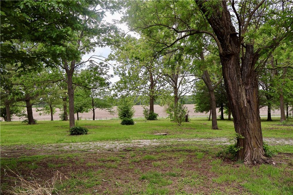 281 Southwest 200th Road Centerview, MO 64019 - Photo 6 of 30