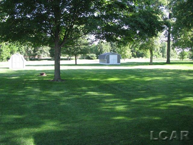8360 Packard Road Morenci, MI 49256 - Photo 12 of 13 Rear yard