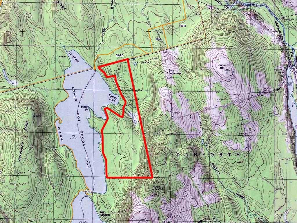 Lot 71 Lakeview Road Danforth, ME 04424 - Photo 3 of 13 new-danforth-land-hotbrook-