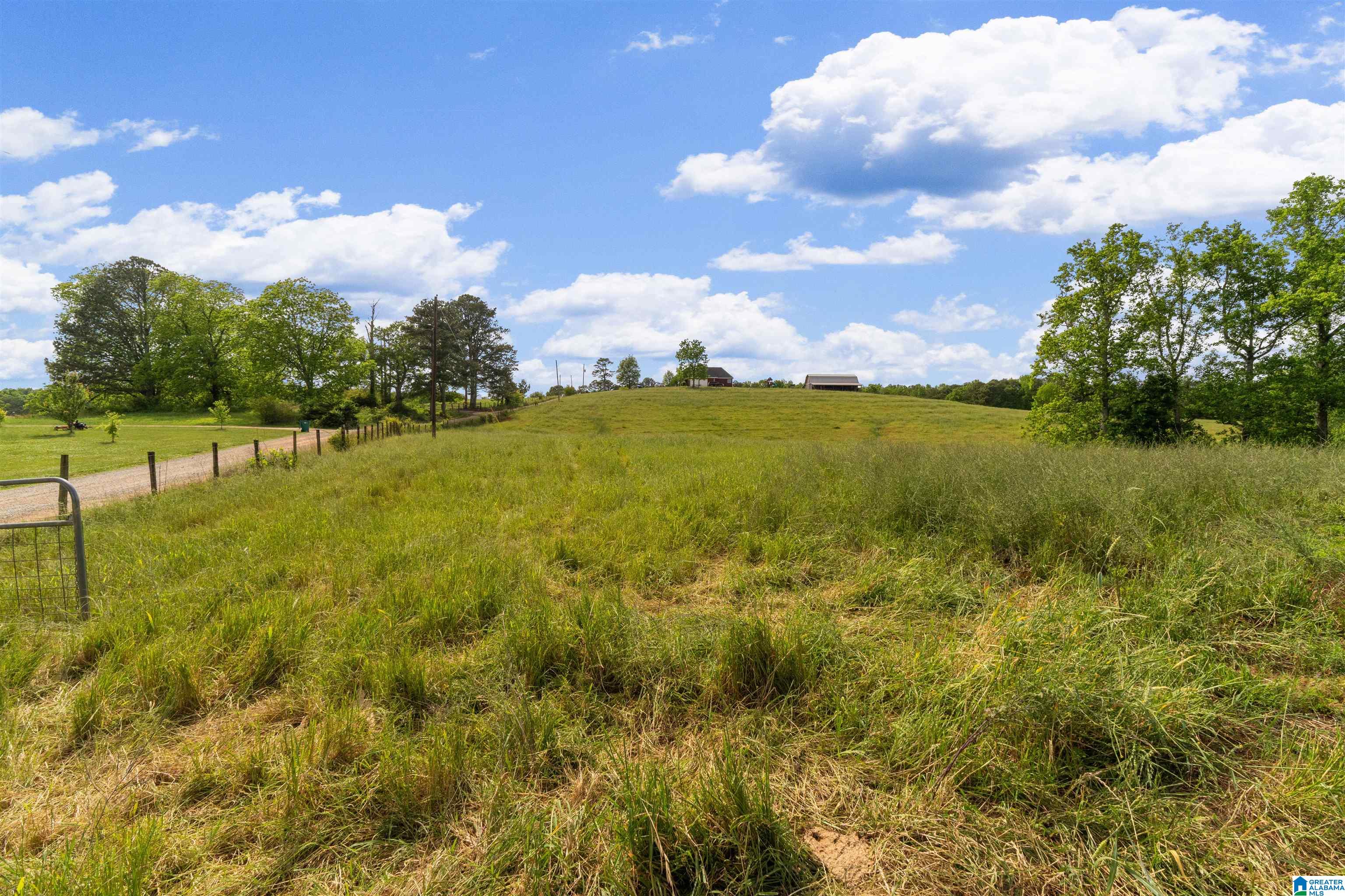 1435 County Road 633 Ranburne, AL 36273 - Photo 14 of 96