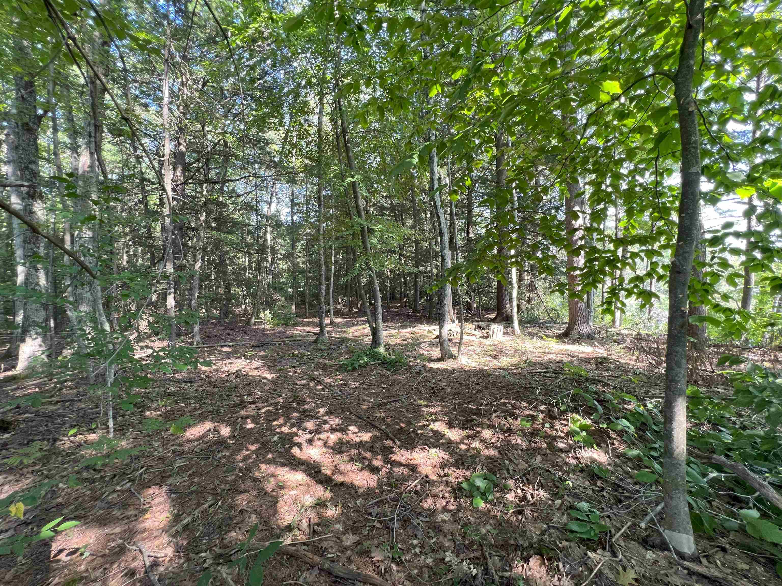 0 Spruce Cove Road Northwood, NH 03261 - Photo 11 of 20 Gallery Image 11