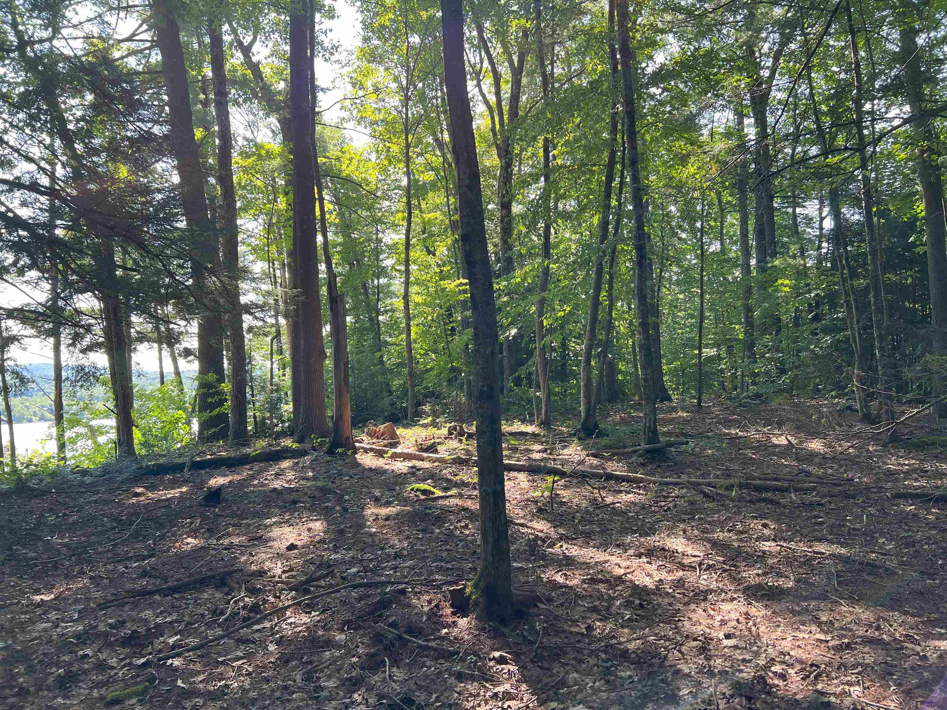0 Spruce Cove Road Northwood, NH 03261 - Photo 5 of 20 Gallery Image 5