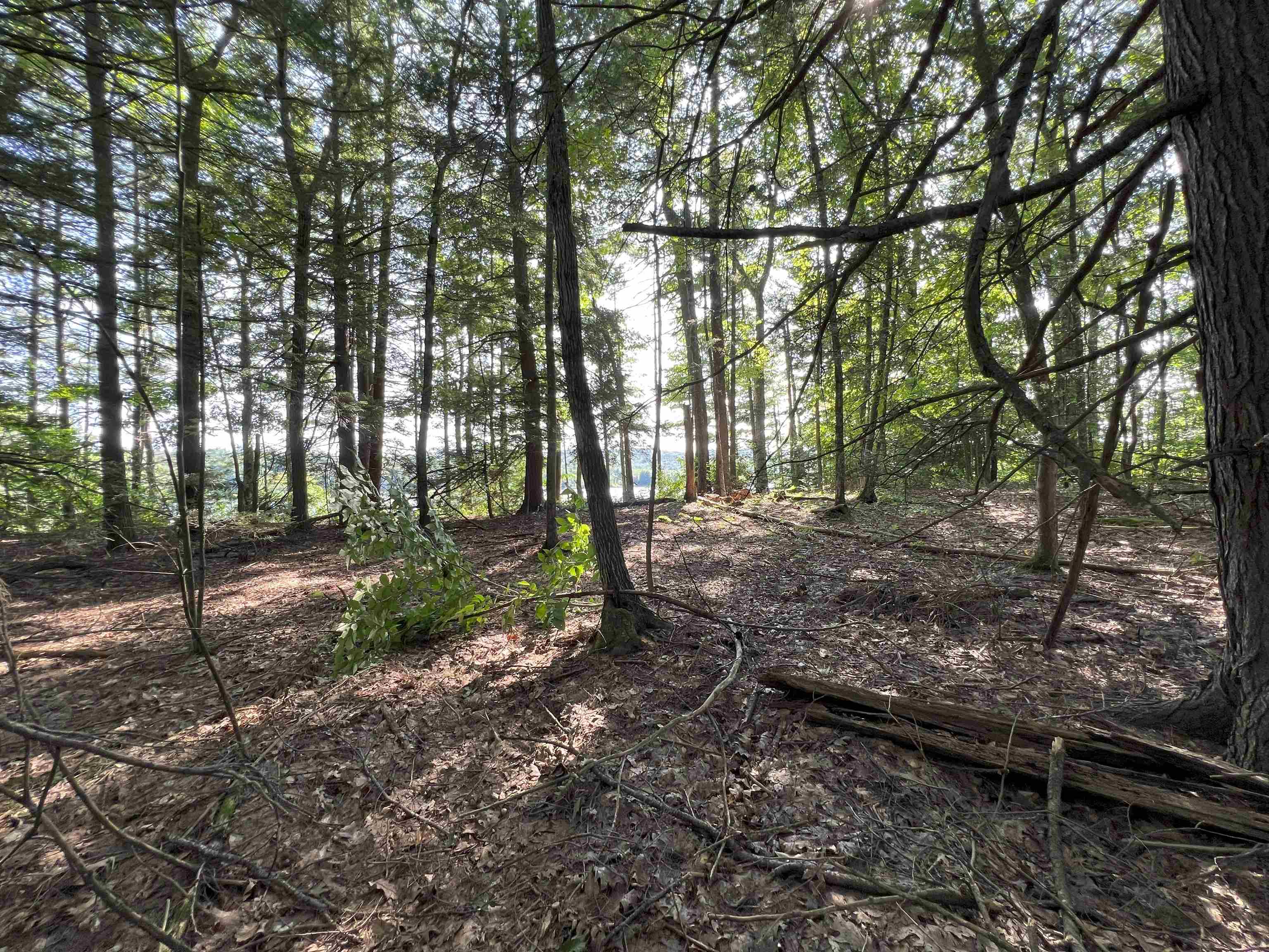 0 Spruce Cove Road Northwood, NH 03261 - Photo 8 of 20 Gallery Image 8