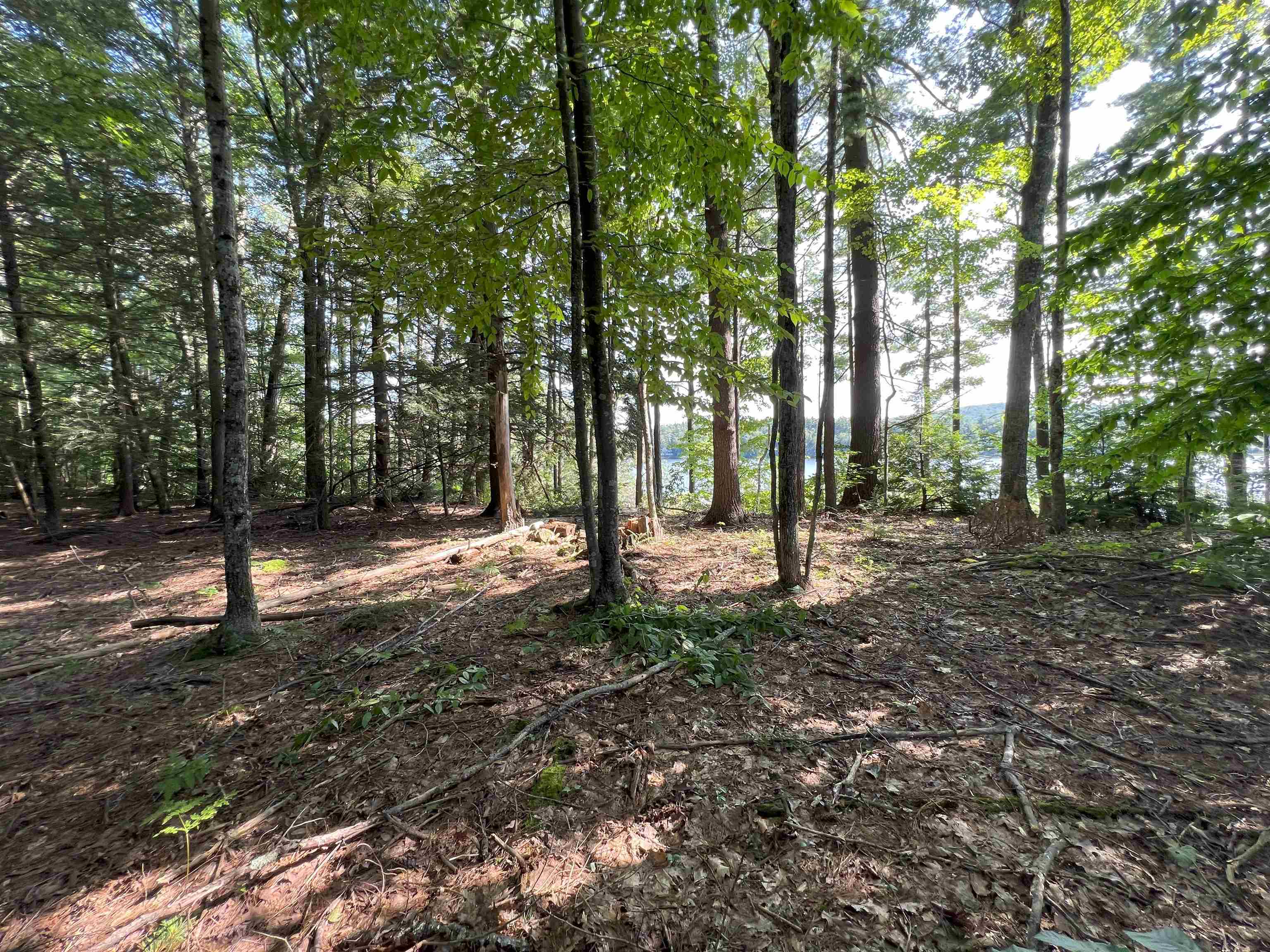 0 Spruce Cove Road Northwood, NH 03261 - Photo 9 of 20 Gallery Image 9