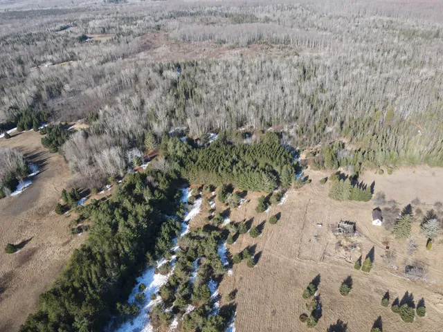 $279,900 | 14246 County Road 441, Posen, MI 49776