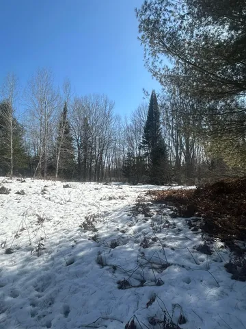 $279,900 | 14246 County Road 441, Posen, MI 49776