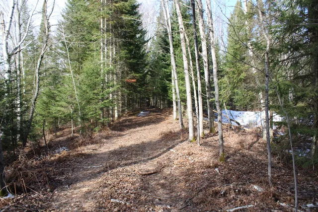 $279,900 | 14246 County Road 441, Posen, MI 49776